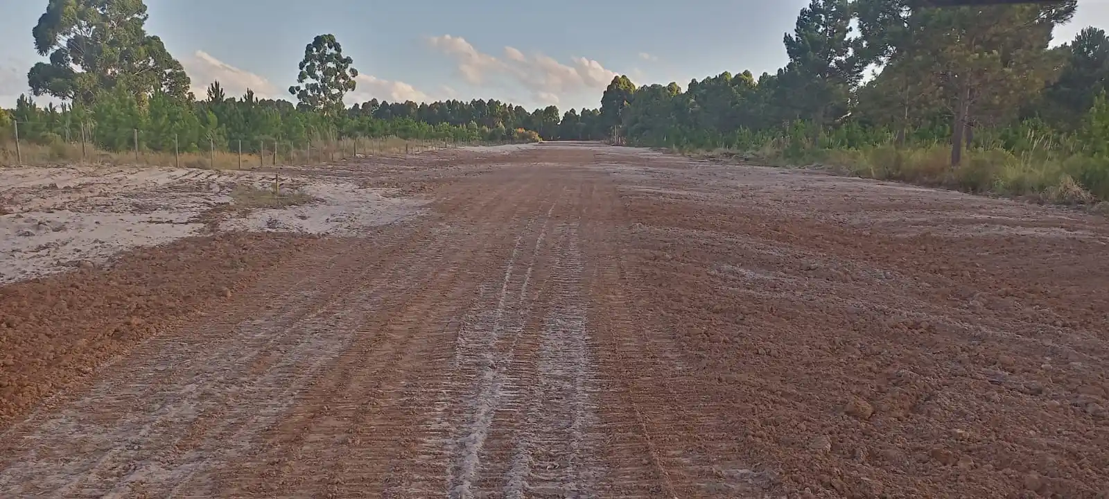 Limpieza de terrenos hecha por Vialmaquinaria en Uruguay - después (proyecto 1)