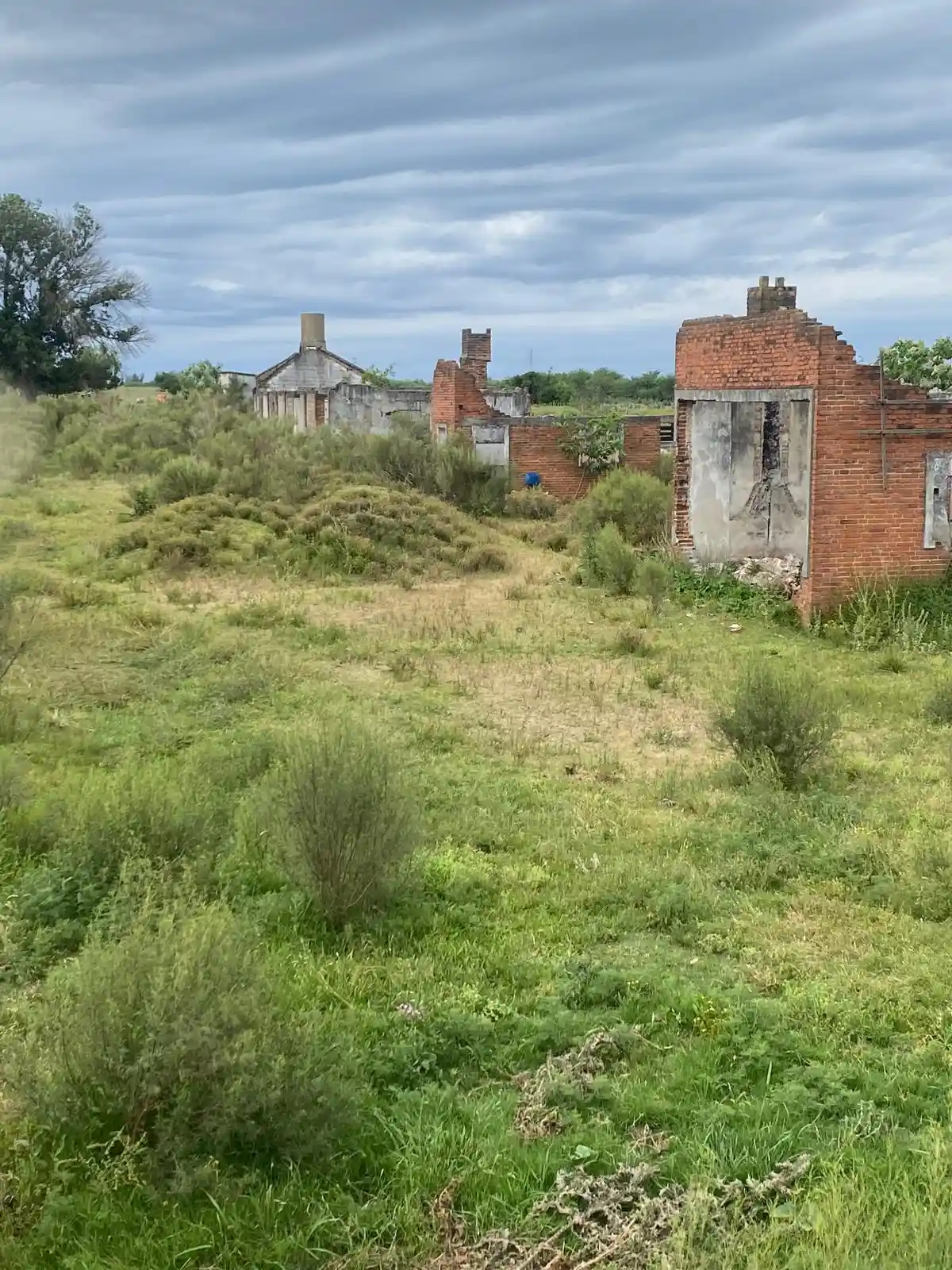 Limpieza de terrenos hecha por Vialmaquinaria en Uruguay - antes (proyecto 2)