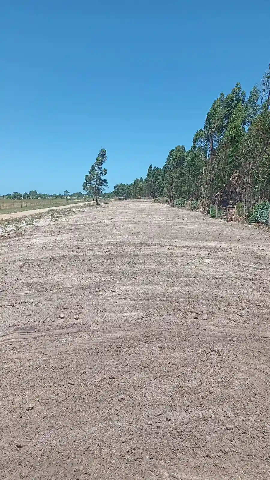 Limpieza de terrenos y sacada de sepas hecha por Vialmaquinaria en Uruguay - después (proyecto 3)
